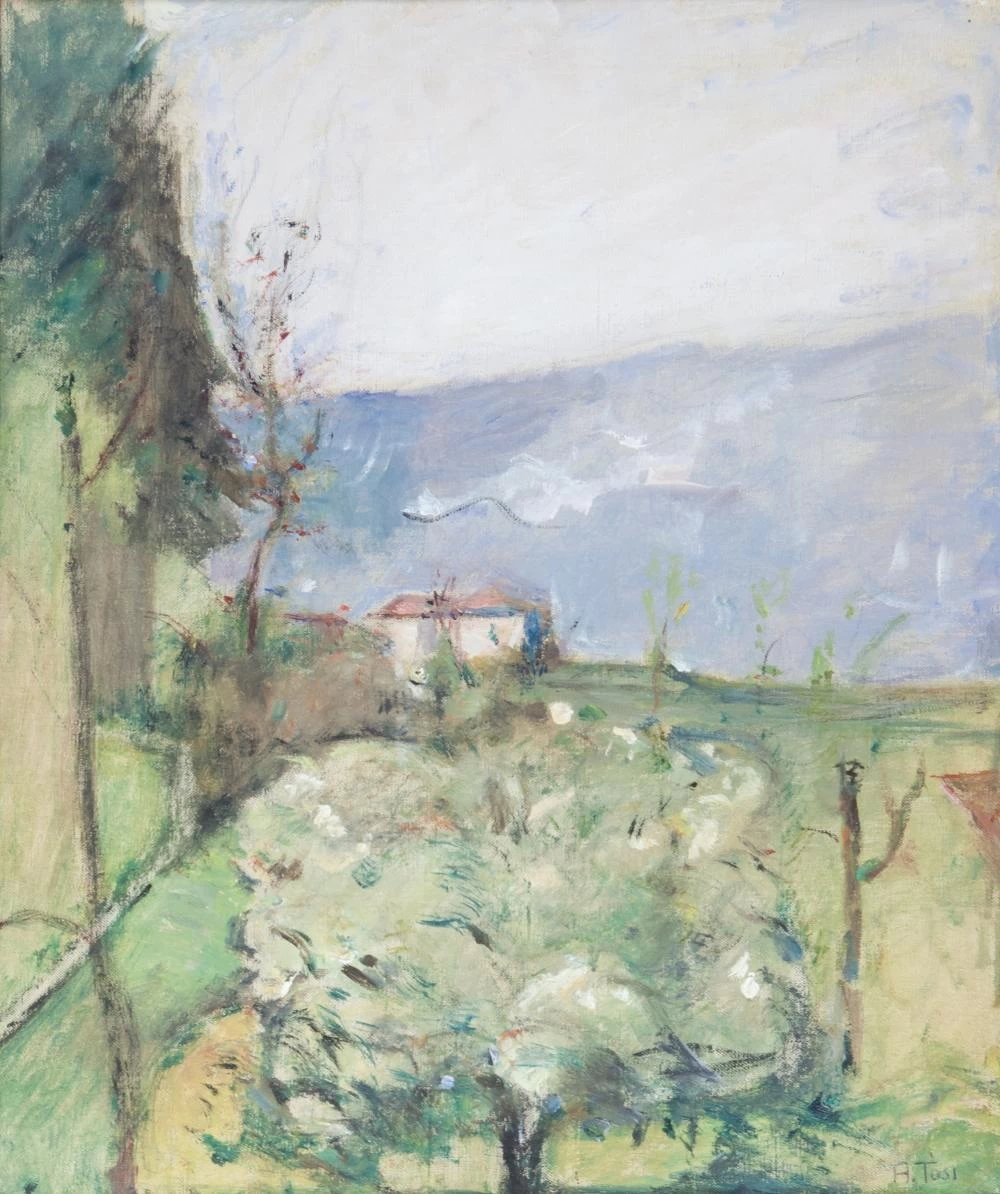Paesaggio collinare con albero